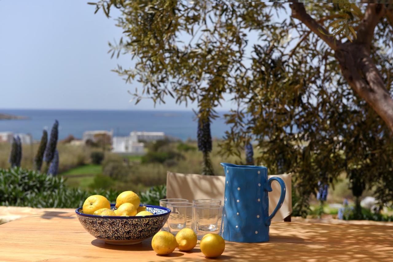 Good Life Greece Eco Villas Posidhonía Exterior foto
